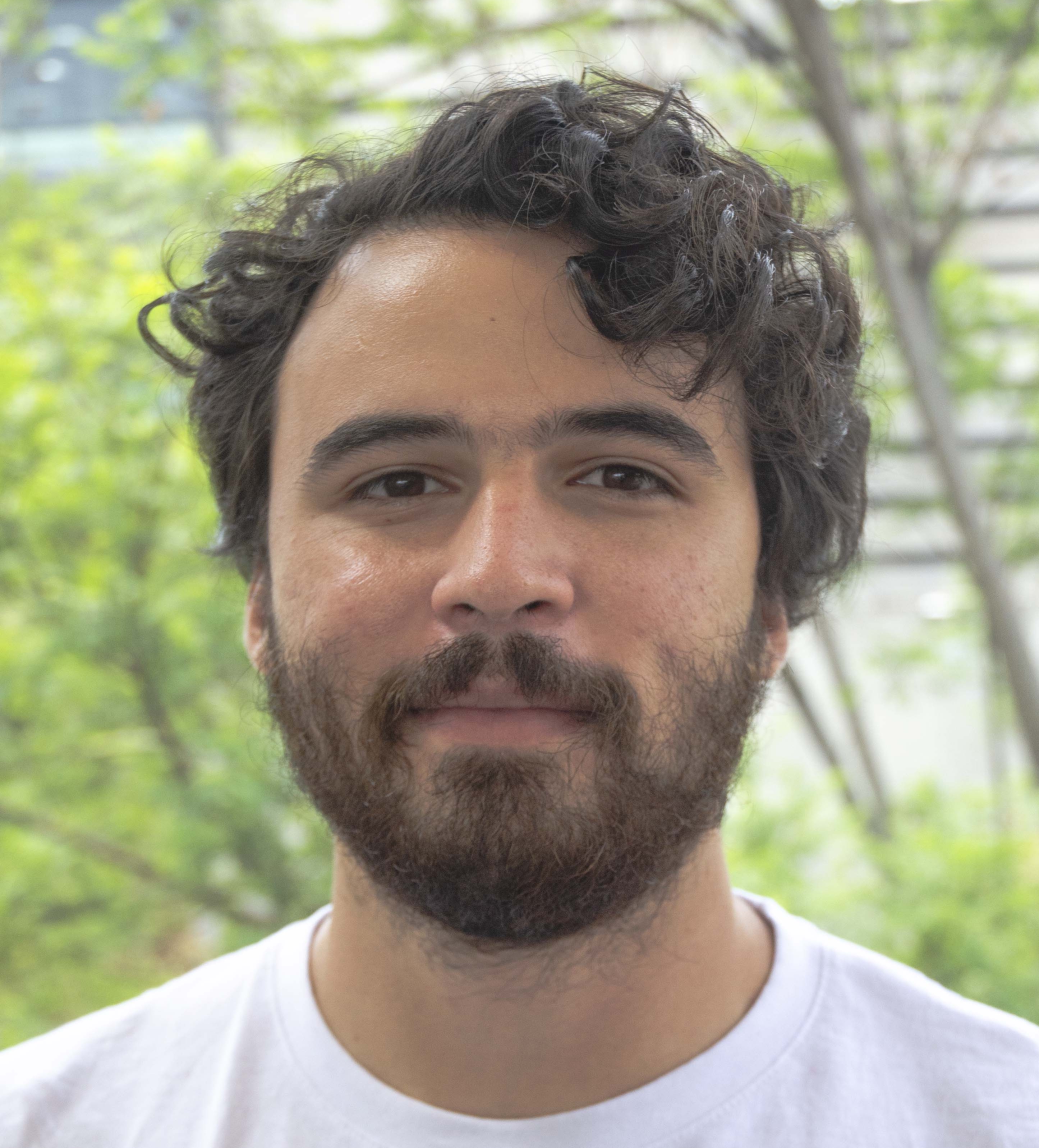 Diego Alberto Barceló Nieves